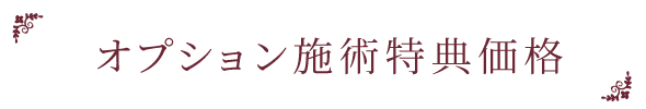 オプション施術特典価格